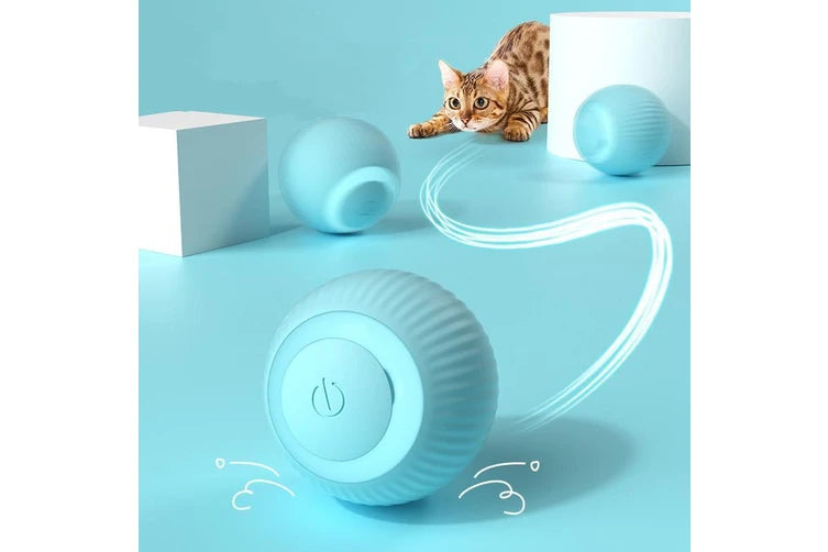 Smart Cat Ball Toys